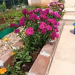 Mumy 빌라 Gostinjac